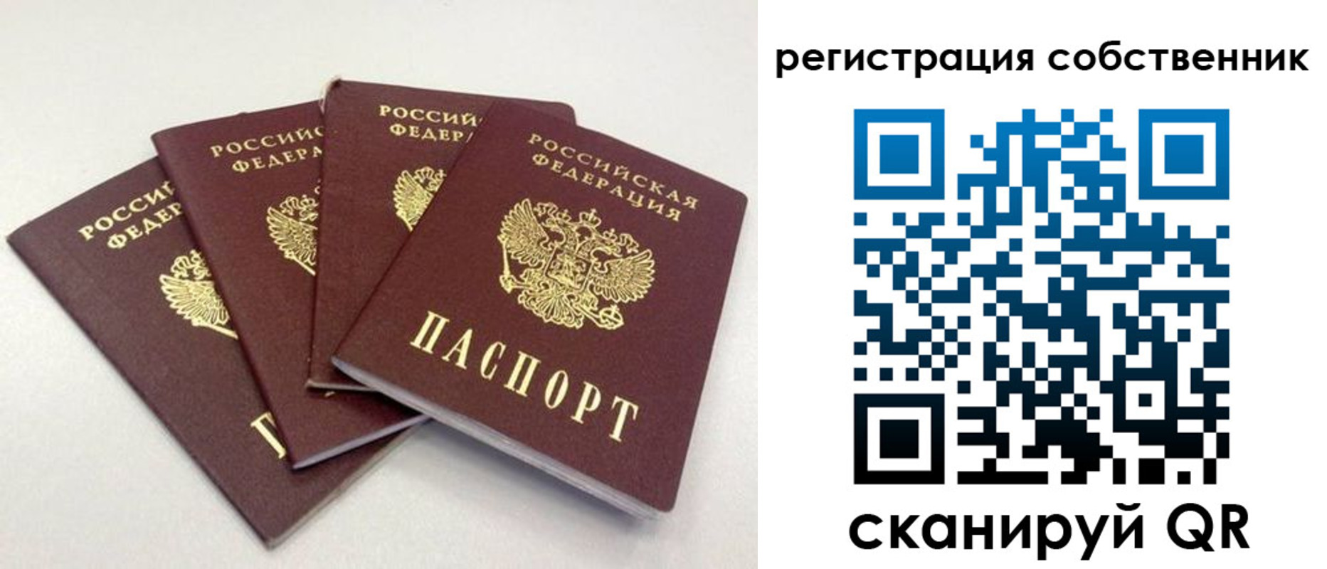 прописка для школы в Бородино
